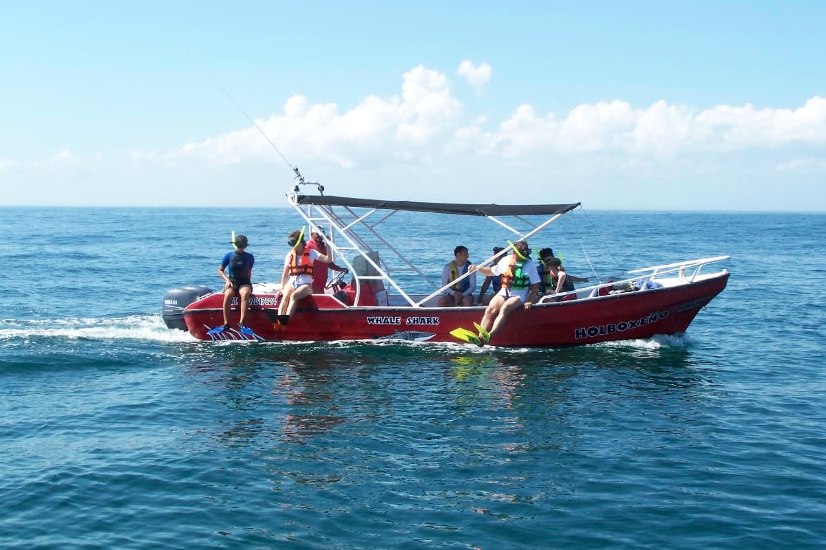 Snorkel Tour in Holbox Holbox Island